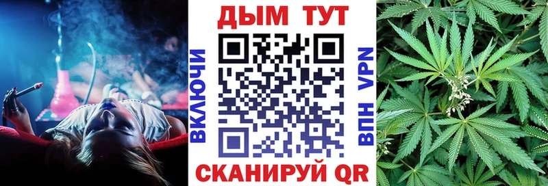 Лсд 25 Закаменск