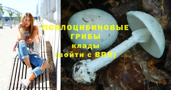бутират Алексин